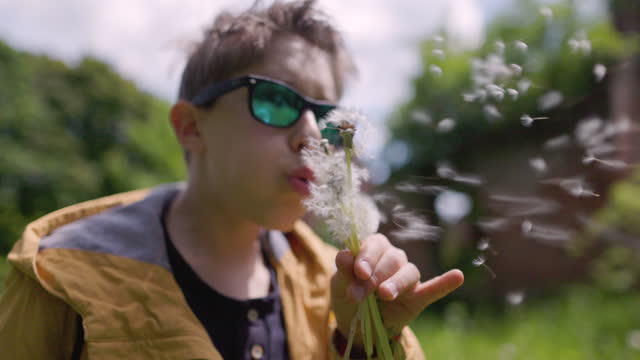 Little boy playing with dandelions