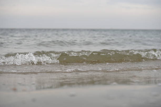 Weekend trip, travel, nature, North Sea