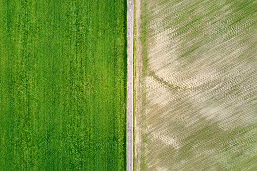 Two textured green fields separated by the road, aerial view. Abstract nature background