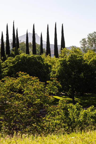 istock Sainte Victoire mountain, a spring morning 1319967440