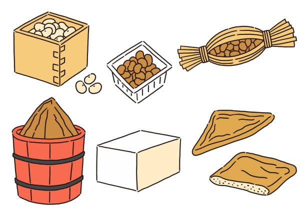 stockillustraties, clipart, cartoons en iconen met reeks sojabonenproducten - natto