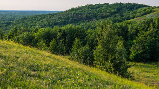 istock grassy meadows and deciduous forests in a hilly area, 1319969838