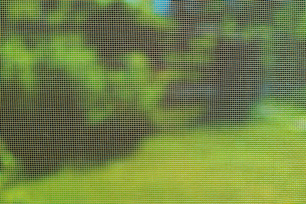 istock blurred background, rural landscape on a sunny day. 1319969919