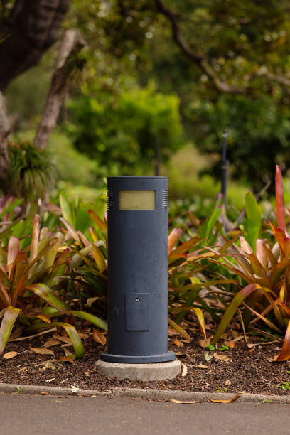 istock Lamp along a path in a public park 1319970191