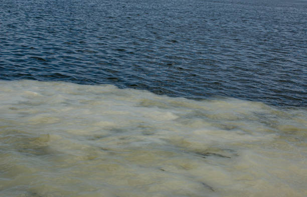 istock Dirty orange water from sewage pipeline mixes with river water. Clear border between two different water streams. Environmental pollution theme. 1319972142