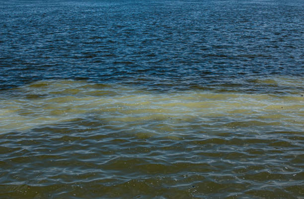 istock Dirty orange water from sewage pipeline mixes with river water. Clear border between two different water streams. Environmental pollution theme. 1319972155