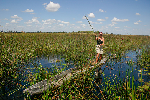 A tourist standing on a mokoro boat in the Okavango Delta in Botswana