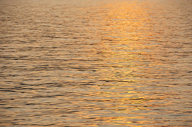 istock Sunshine on the Sea 131997285