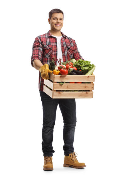 joven que lleva una caja con verduras - box men holding isolated fotografías e imágenes de stock