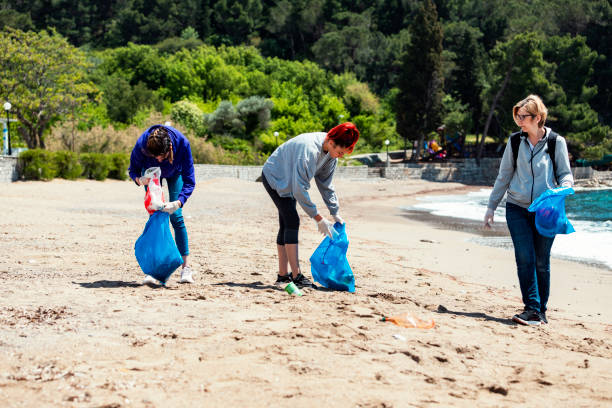 istock Group of  people cleaning beach area 1319975871