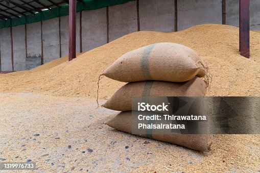 istock Rice in a sack that is in a warehouse for storing rice. Canvas bags stacked in a pile. 1319976733