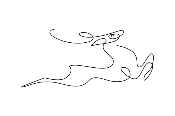 Running deer Running deer in continuous line art drawing style. Abstract deer graceful jumping minimalist black linear design isolated on white background. Vector illustration one animal stock illustrations