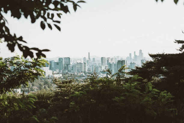 istock The city from the moutains 1319979733