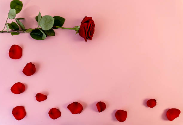 istock Flat lay with copy space  for the wedding, birthday, party or other celebration. 1319979922