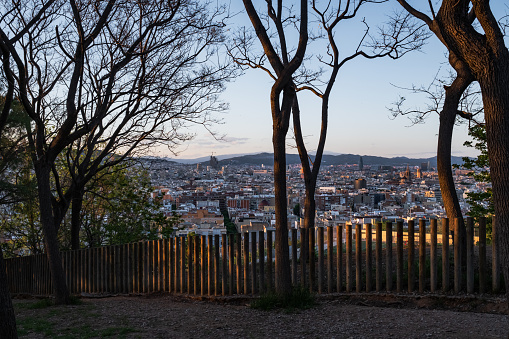A glimpse of the city of Barcelona (Catalonia, Spain) through the trees of Montjuïc hill.