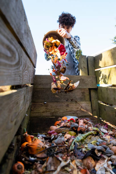 kein essen geht in den abfall - kompost stock-fotos und bilder