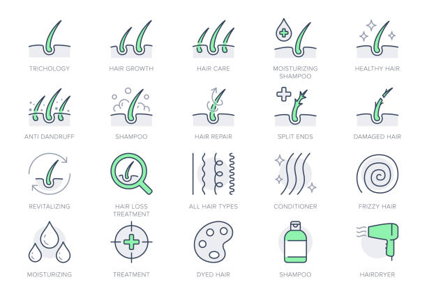 ikony linii kosmetycznych włosów. ilustracja wektorowa to ikona - pielęgnacja skóry, kręcone, naprawa, rewitalizacja, skóra głowy, łupież, piktogram zarysem pęcherzyka dla trychologii. zielony kolor, edytowalny obrys - mokry włos stock illustrations