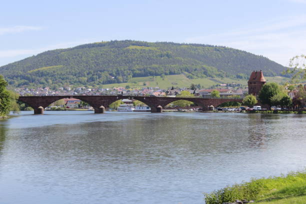 istock Bridge across the river at Miltenberg 1319985287