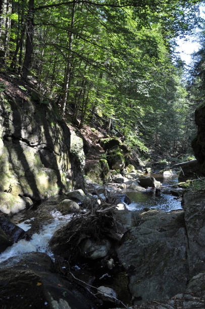 istock Great Ohe in the Steinklamm in Spiegelau 1319986541