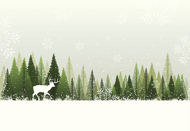 ilustraciones, imágenes clip art, dibujos animados e iconos de stock de fondo de bosque de invierno - christmas deer christmas decoration tree