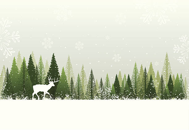 bildbanksillustrationer, clip art samt tecknat material och ikoner med white elk wandering in green forest winter illustration - reindeer mist
