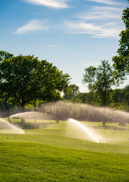 istock Fresh green grass and water drops over it sparkling in sunlight 1319987725