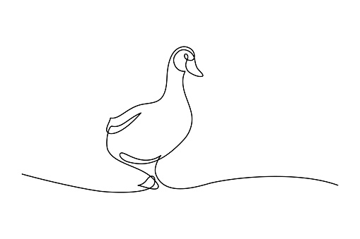 Duck in continuous line art drawing style. Abstract duck walking minimalist black linear sketch isolated on white background. Vector illustration