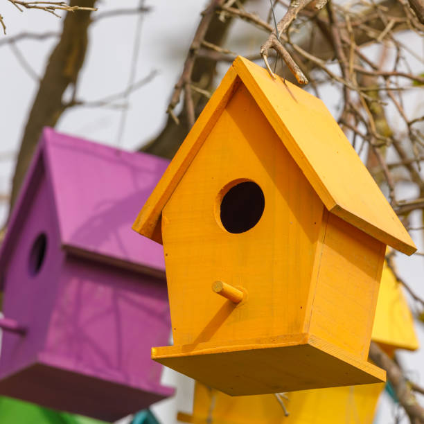 istock Closeup of light orange birdhouse on tree 1319988062