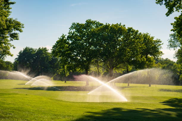 istock Fresh green grass and water drops over it sparkling in sunlight 1319988117