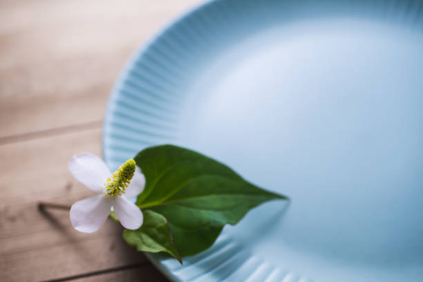 istock Houttuynia cordata on the plate 1319989227