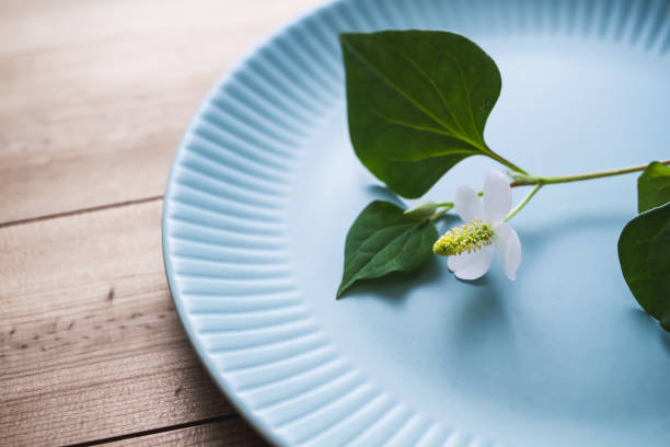 istock Houttuynia cordata on the plate 1319989239