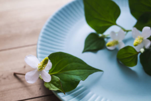istock Houttuynia cordata on the plate 1319989246