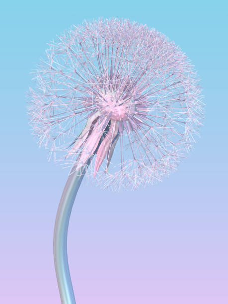 istock dandelion in pale pink blue color 1319989257