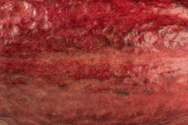 istock Background with texture of cocoa fruit peel 1319989825
