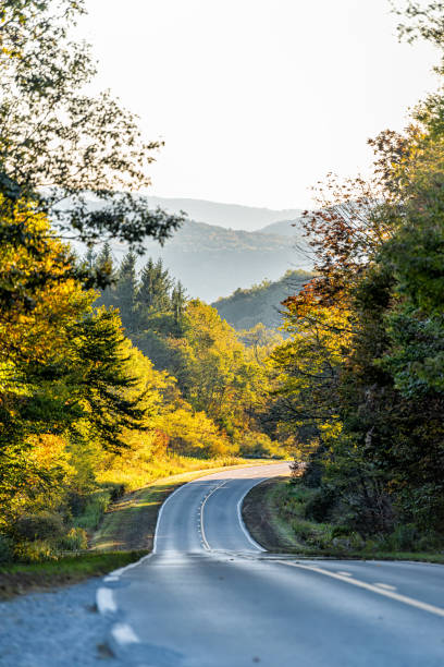 ponto de vista vertical na estrada de estrada panorâmica curva e sinuosa em outono colorido na virgínia ocidental na floresta nacional de monongahela com pôr do sol ou luz solar do nascer do sol - vertical forest national forest woods - fotografias e filmes do acervo