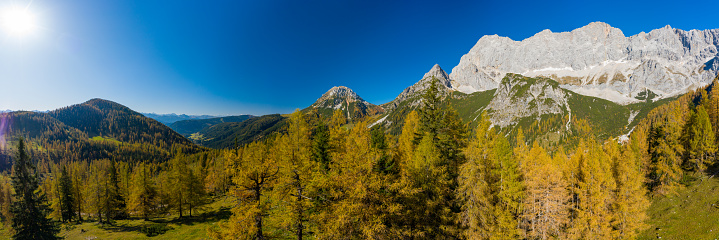 aerial panoramic drone point of view alpine mountains landscape with autumn colored larch trees on sunny day with clear blue sky