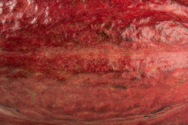 istock Background with texture of cocoa fruit peel 1319990932