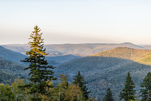 High angle aerial view on West Virginia mountains overlook in autumn fall with foliage and one pine tree in morning sunrise or sunset sunlight at Highland scenic highway