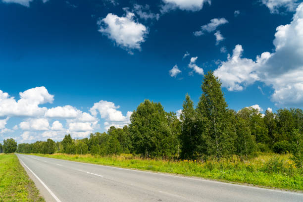 istock summer asphalt countryside road through young birch forest, bright blue sky and clouds, summertime sunny day landscape 1319991525