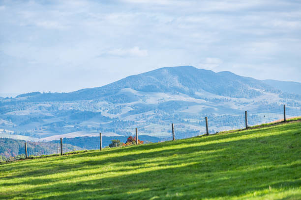 farm landwirtschaft grüne grasfeld in bunten herbst mit hochwinkeligen blick auf sanfte hügel landschaft in monterey und blue grass, highland county, virginia mit stacheldrahtzaun - sky blue grass green stock-fotos und bilder