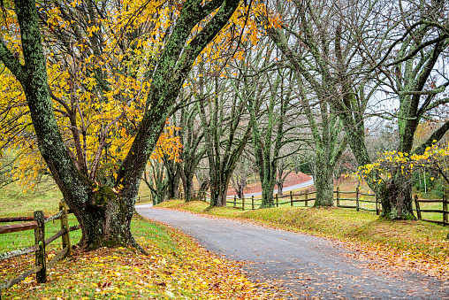 Countryside narrow rural winding paved road to Ash Lawn-Highland, Home of President James Monroe in Albemarle County, Virginia in colorful autumn fall