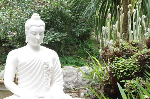 Buddha figure in garden