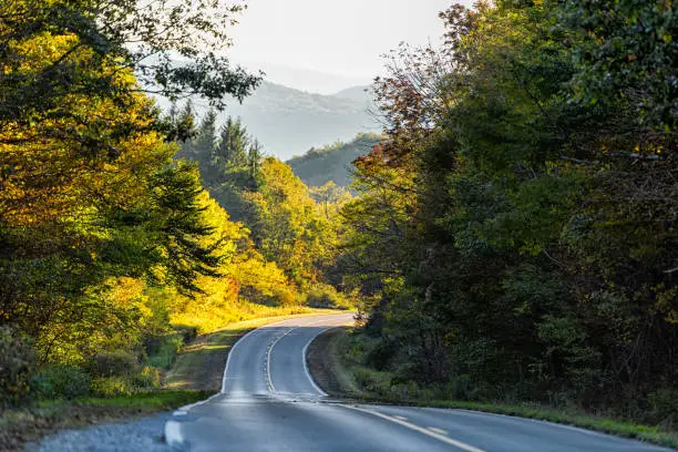 Car point of view on curvy winding highland scenic highway road in colorful autumn fall in West Virginia at Monongahela national forest with sunset or sunrise sunlight