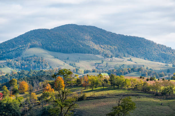 Autumn red maple trees landscape with mountains farm on rolling hills in small rural countryside town of Monterey and Blue Grass, Highland County, Virginia