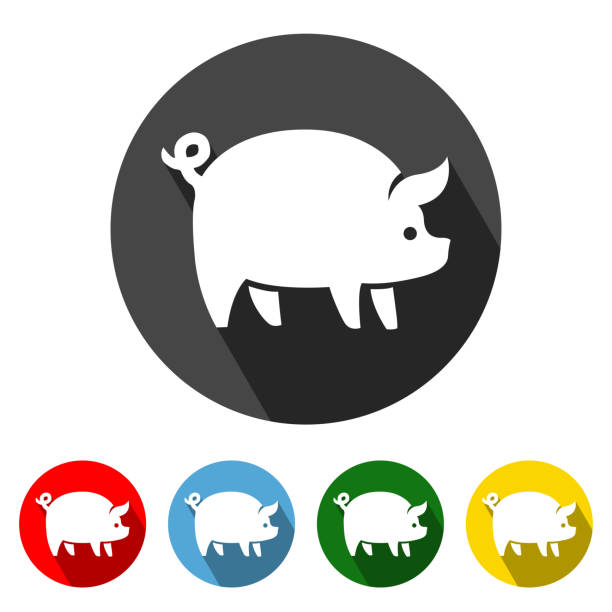 świnia płaska ikona długi cień - farmer pig domestic pig farm stock illustrations