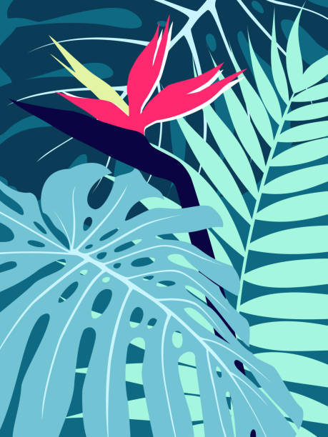 Tropical explosion Vectorial ilustration. Leaves, flowers, colors, waves, tropical flavor in fresh images. paradise island bahamas stock illustrations