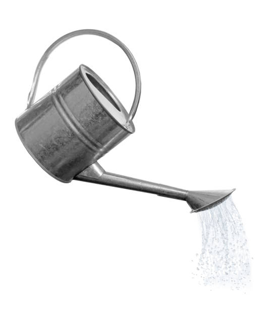 istock Pouring liquid from watering can on white background 1319994952