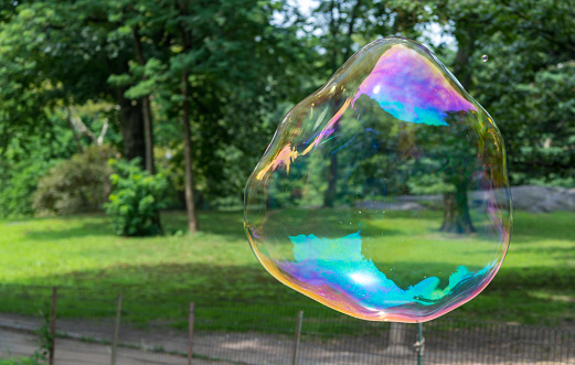 Large floating bubble in Central Park