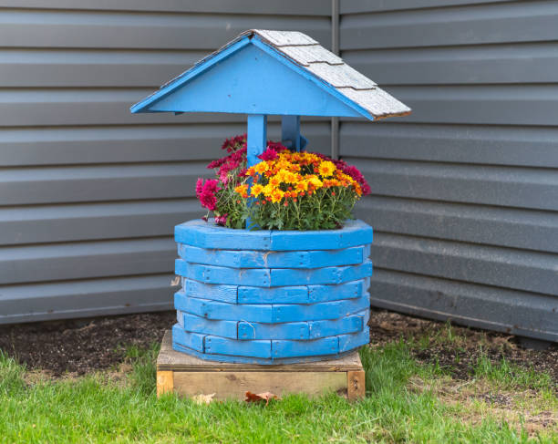 istock Planted flowers in blue planter 1319996286