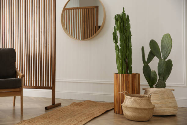 interni eleganti della camera con bellissimi cactus in vaso - pianta in vaso foto e immagini stock